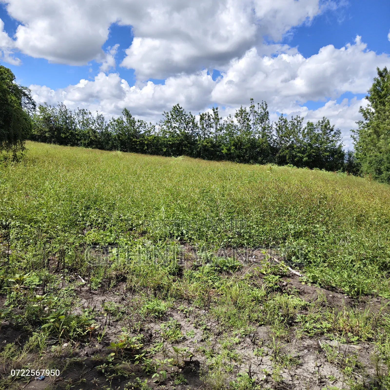 5 Acres Land for Sale in Kiserian Along Isinya Road in Kibiku