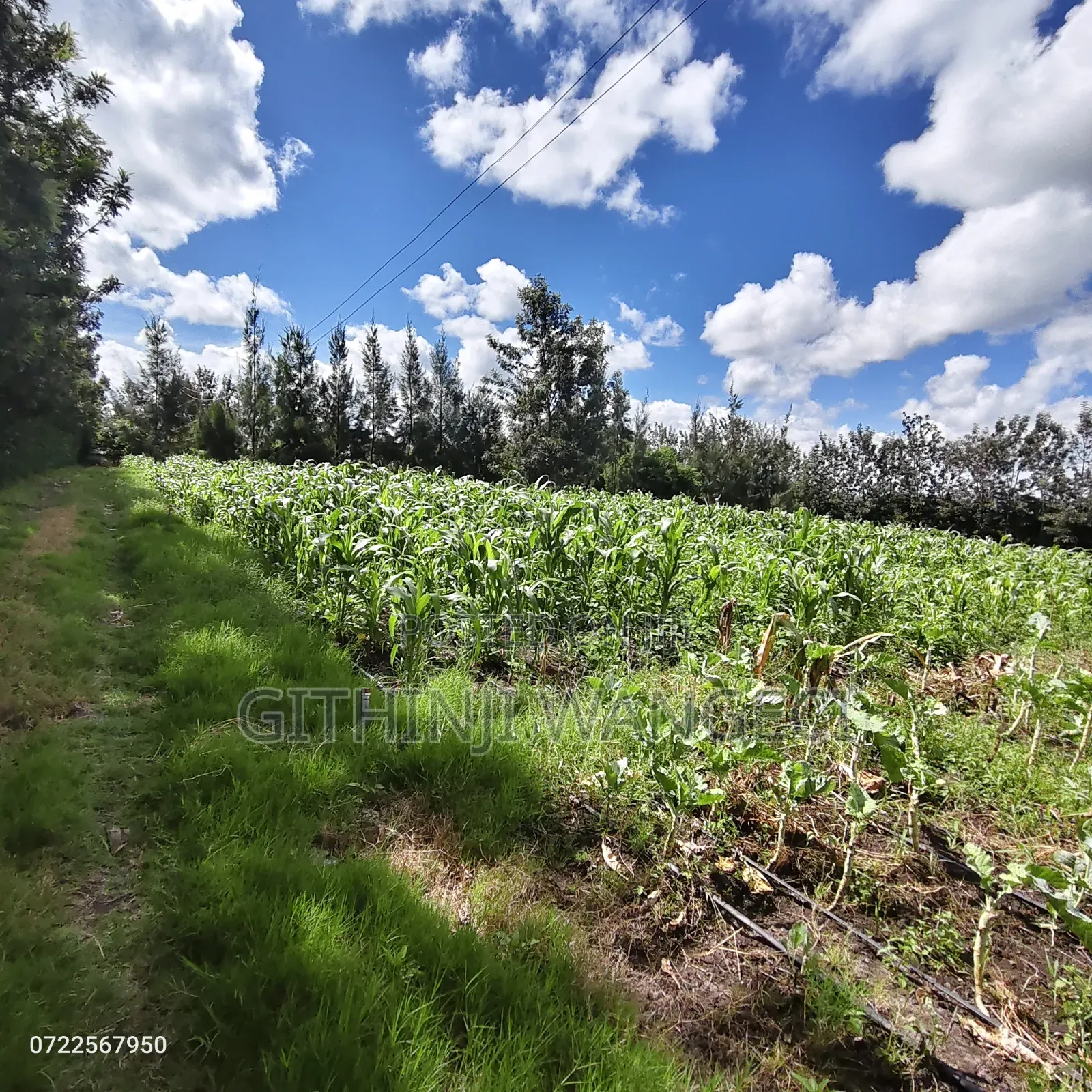 5 Acres Land for Sale in Kiserian Along Isinya Road in Kibiku