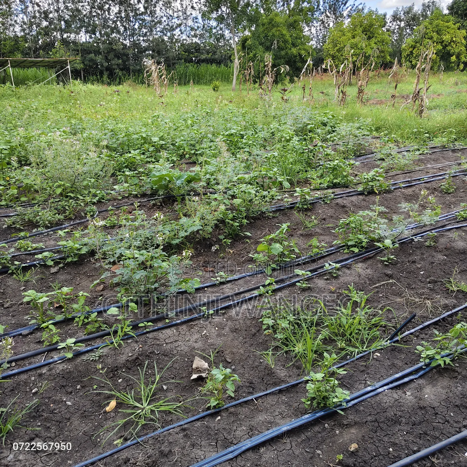 5 Acres Land for Sale in Kiserian Along Isinya Road in Kibiku
