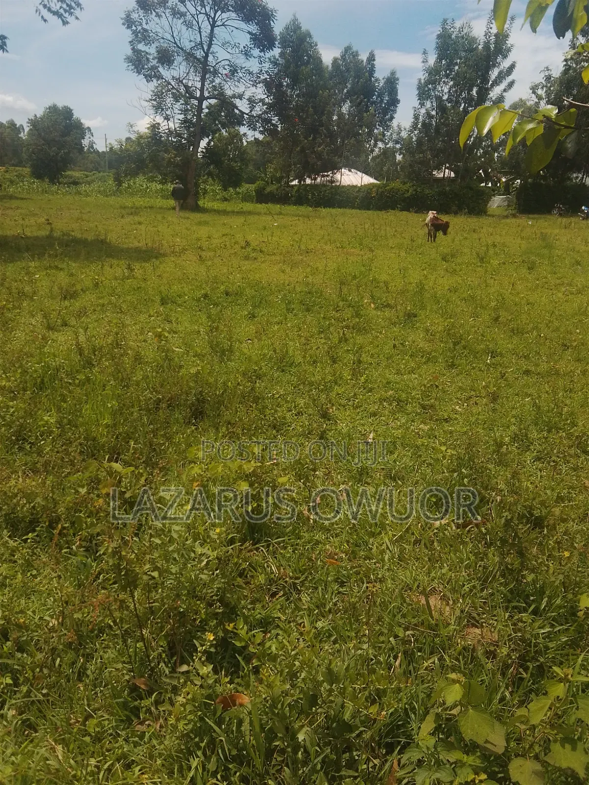 Land for Sale in North Kamagambo