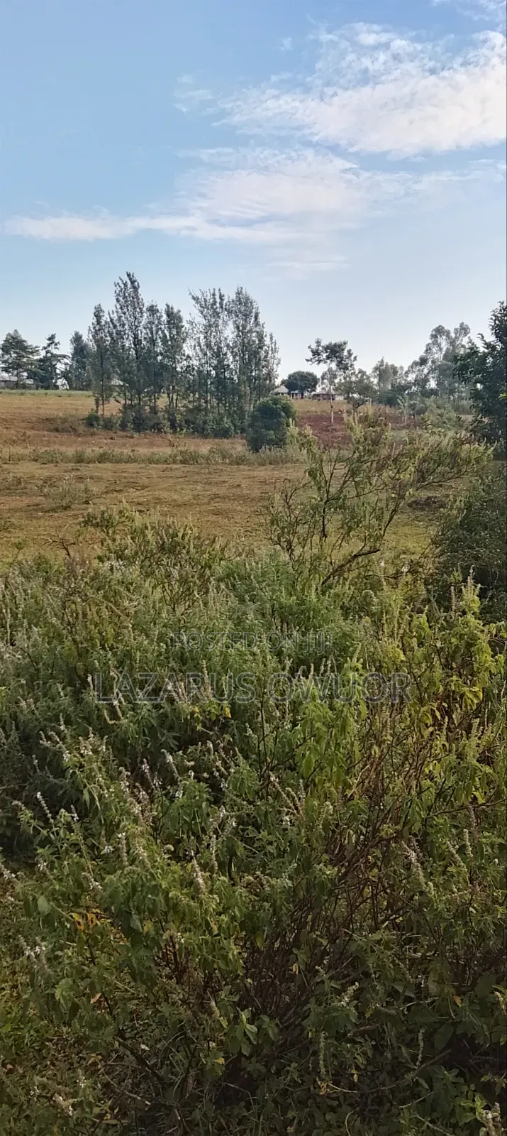 Plot for Sale in East Kamagambo