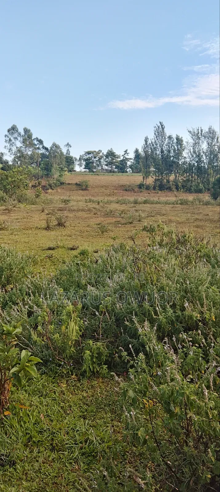 Plot for Sale in East Kamagambo