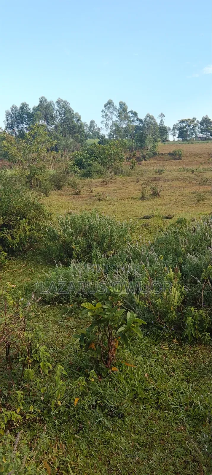 Plot for Sale in East Kamagambo