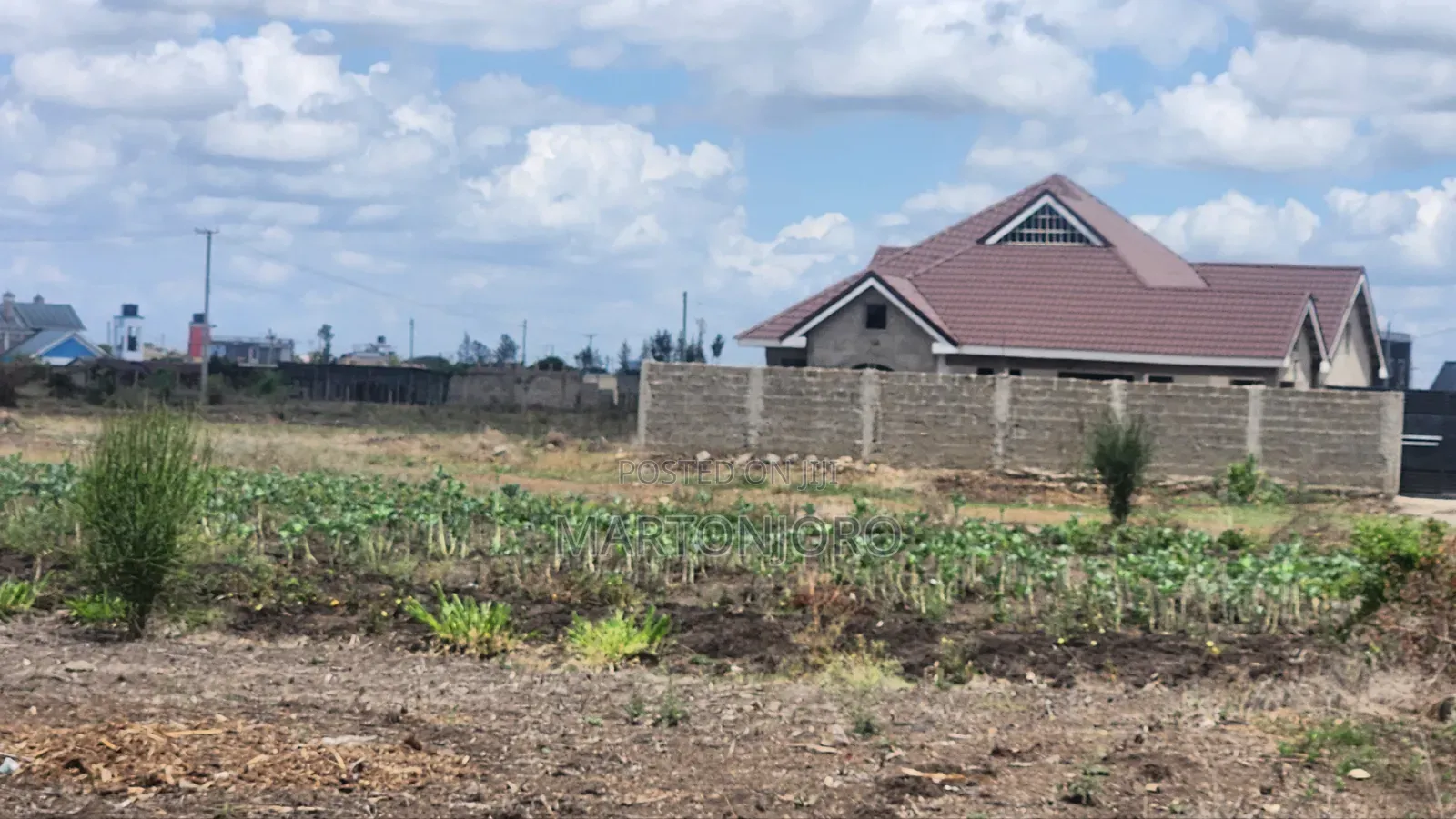 Witeithie Thika Affodable Plots in Witethie