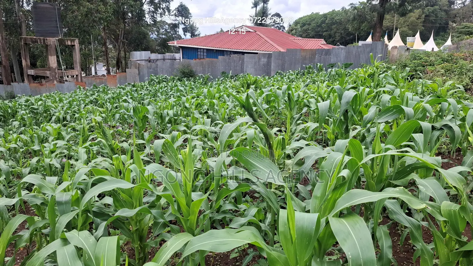 One-of-a-Kind Commercial Plot in Ngong Town in Ngong CBD