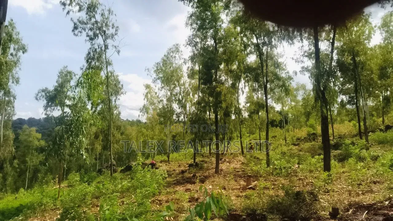 100 Acres Prime Agricultural Land for Sale in Kiagu, Meru – Stream, in Kiagu