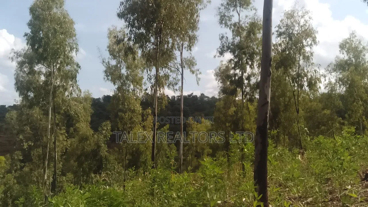 100 Acres Prime Agricultural Land for Sale in Kiagu, Meru – Stream, in Kiagu