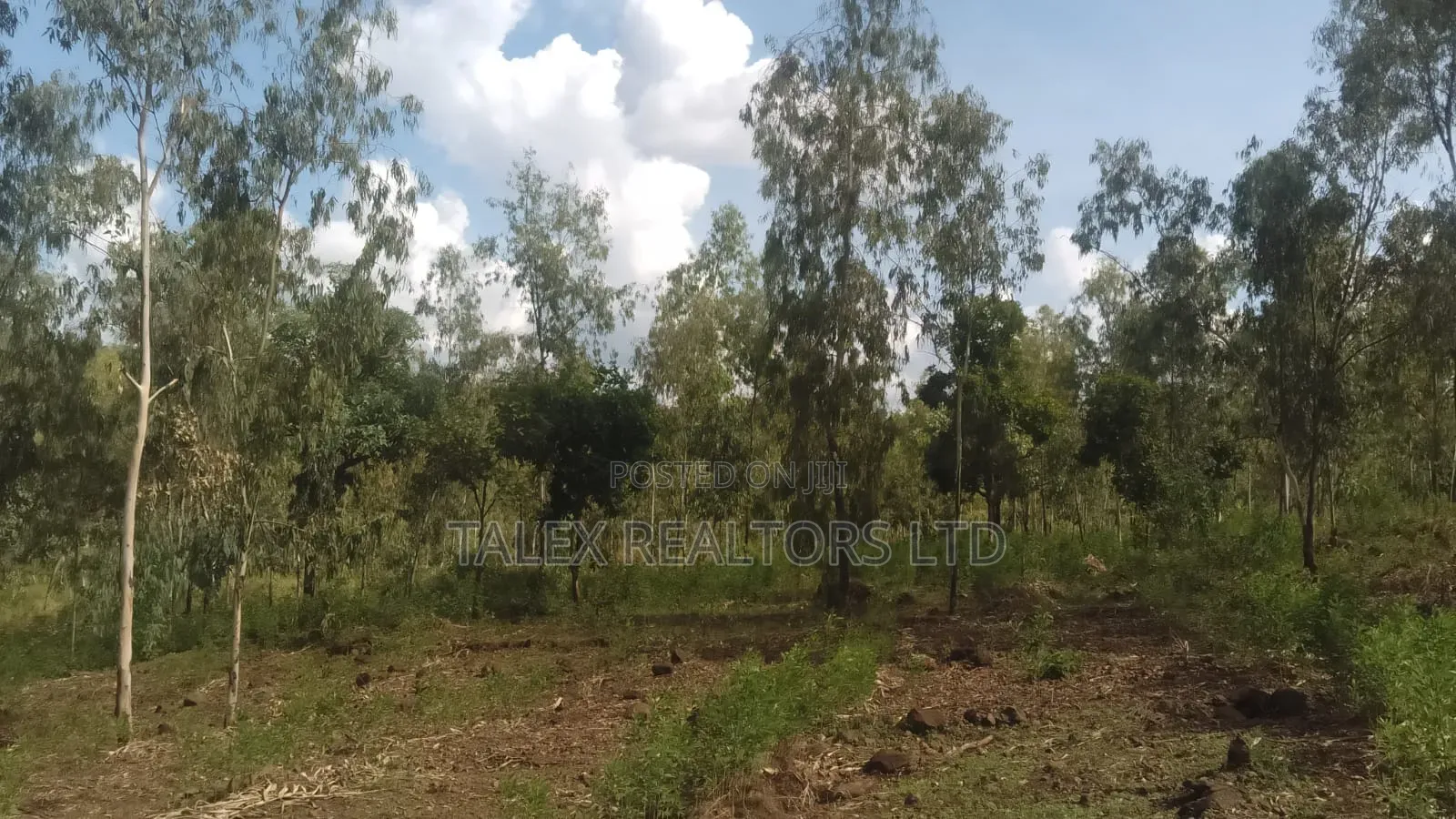 100 Acres Prime Agricultural Land for Sale in Kiagu, Meru – Stream, in Kiagu