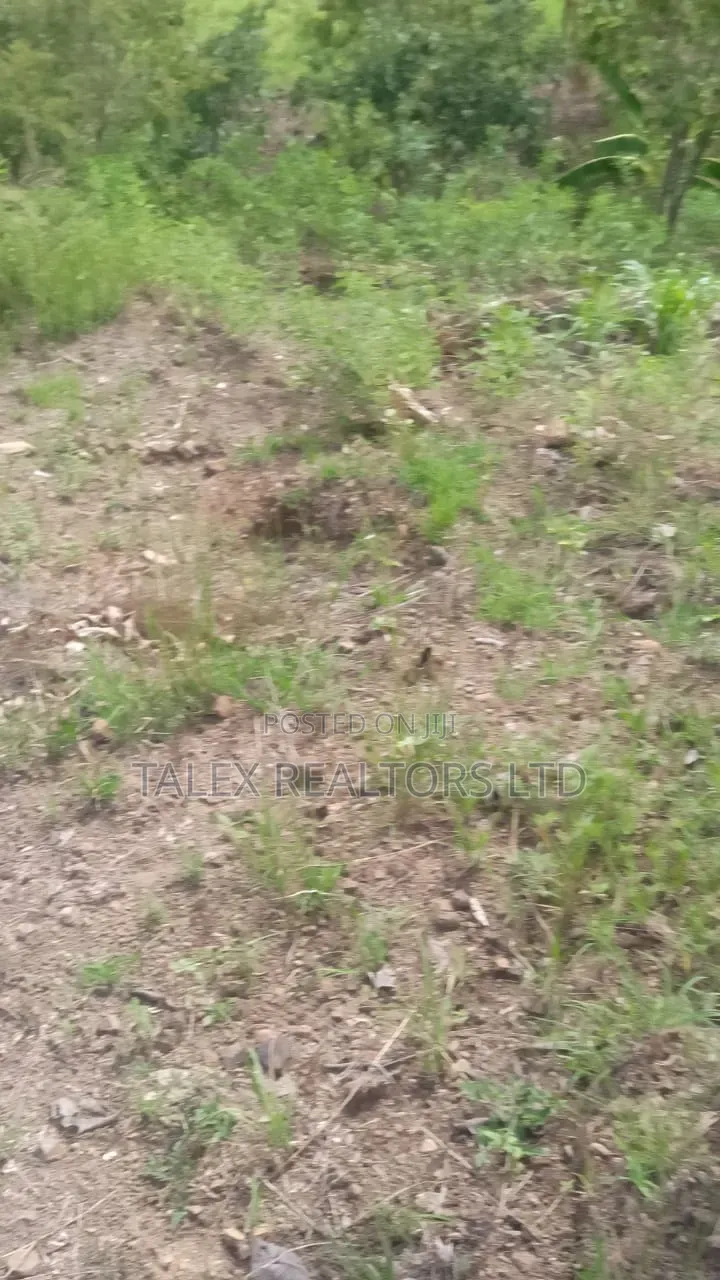 100 Acres Prime Agricultural Land for Sale in Kiagu, Meru – Stream, in Kiagu