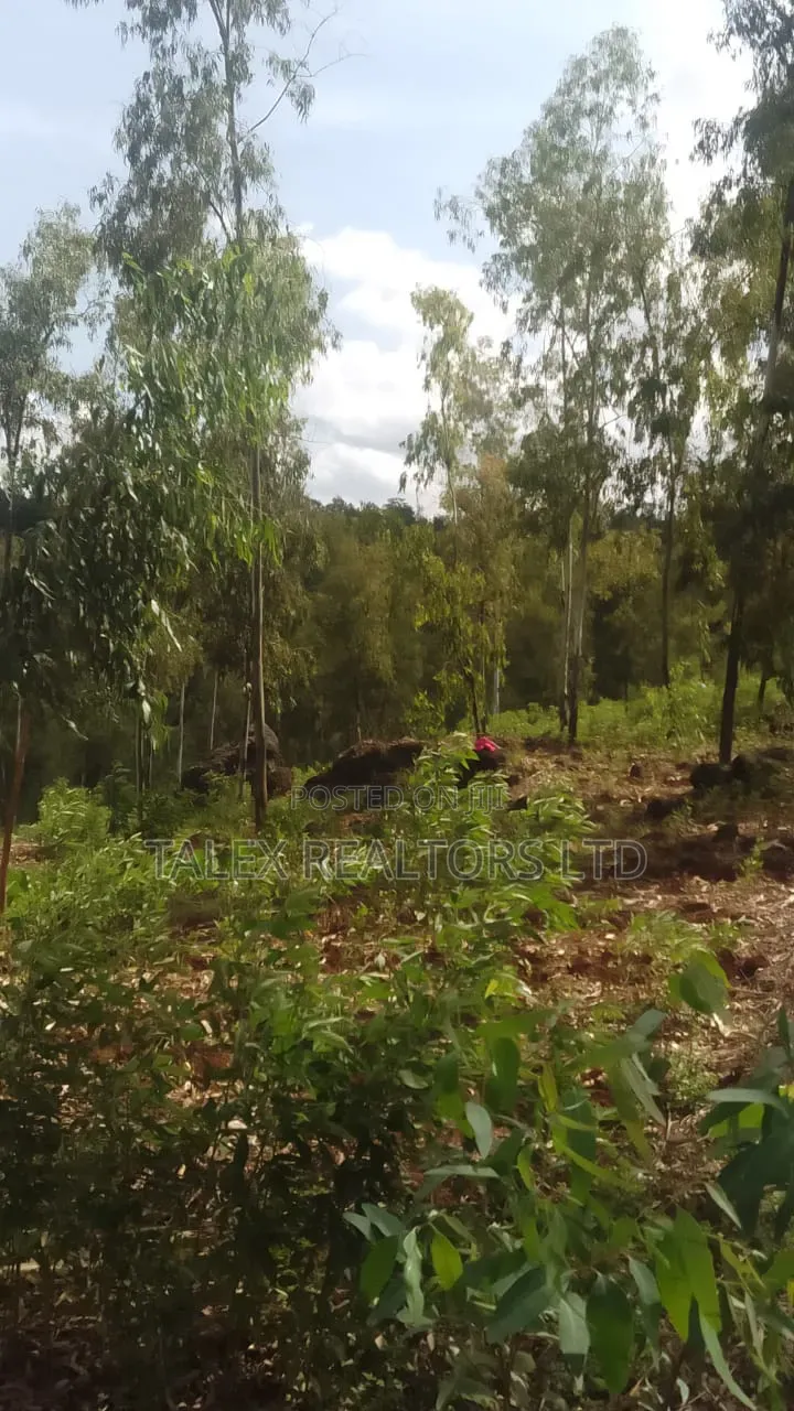 100 Acres Prime Agricultural Land for Sale in Kiagu, Meru – Stream, in Kiagu