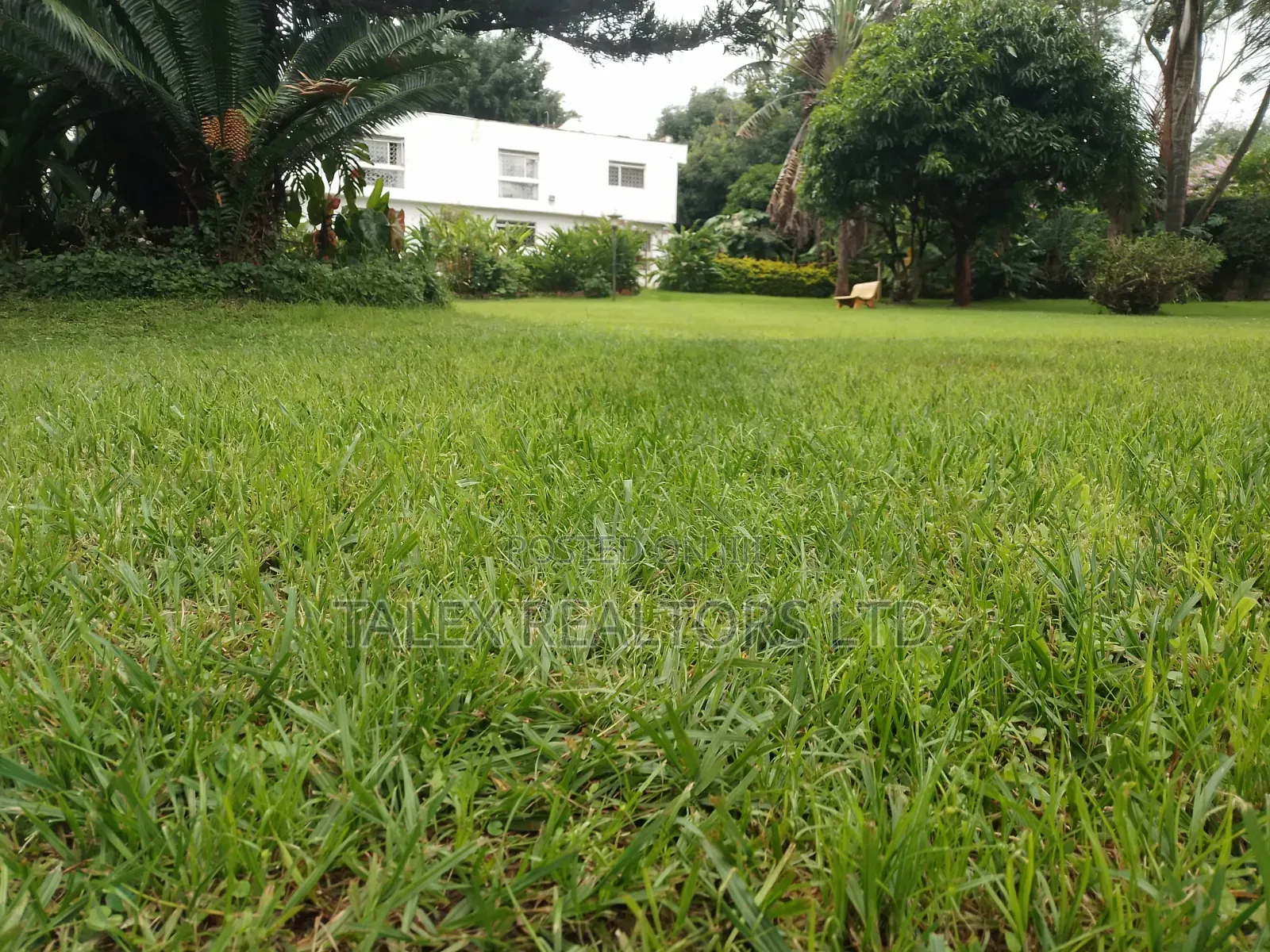 Furnished 5bdrm Mansion in New Muthaiga Mall for sale in Muthaiga