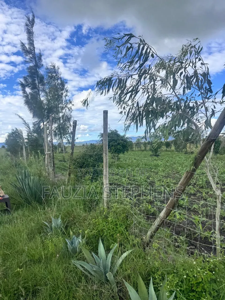 Konza City Plot for Lease in Junction