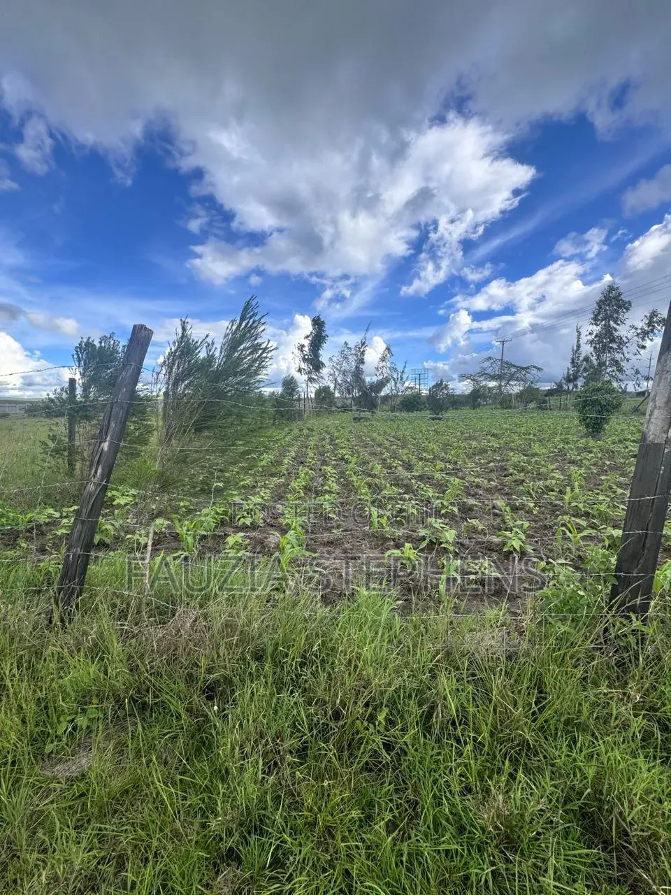 Konza City Plot for Lease in Junction