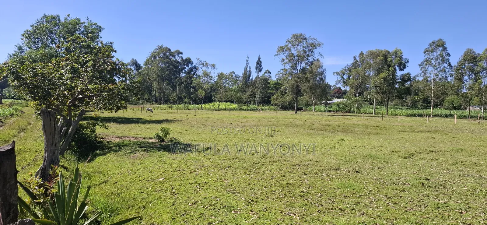 2 Acres Ndengelwa Bungoma in Khalaba (Kanduyi)