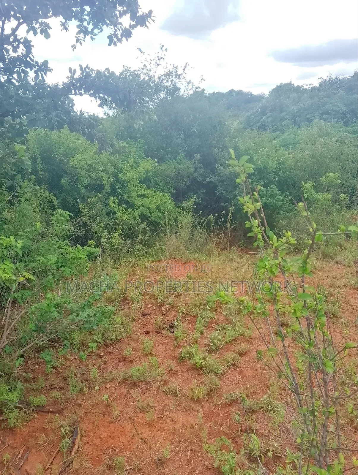 Half Acre Land- At Kyua Near Kwavonza Town in Kwavonza/Yatta