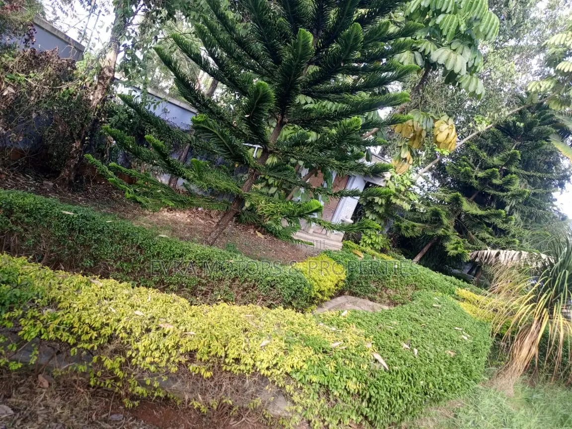 Furnished 4bdrm Mansion in Utawala for sale in Complex Utawala