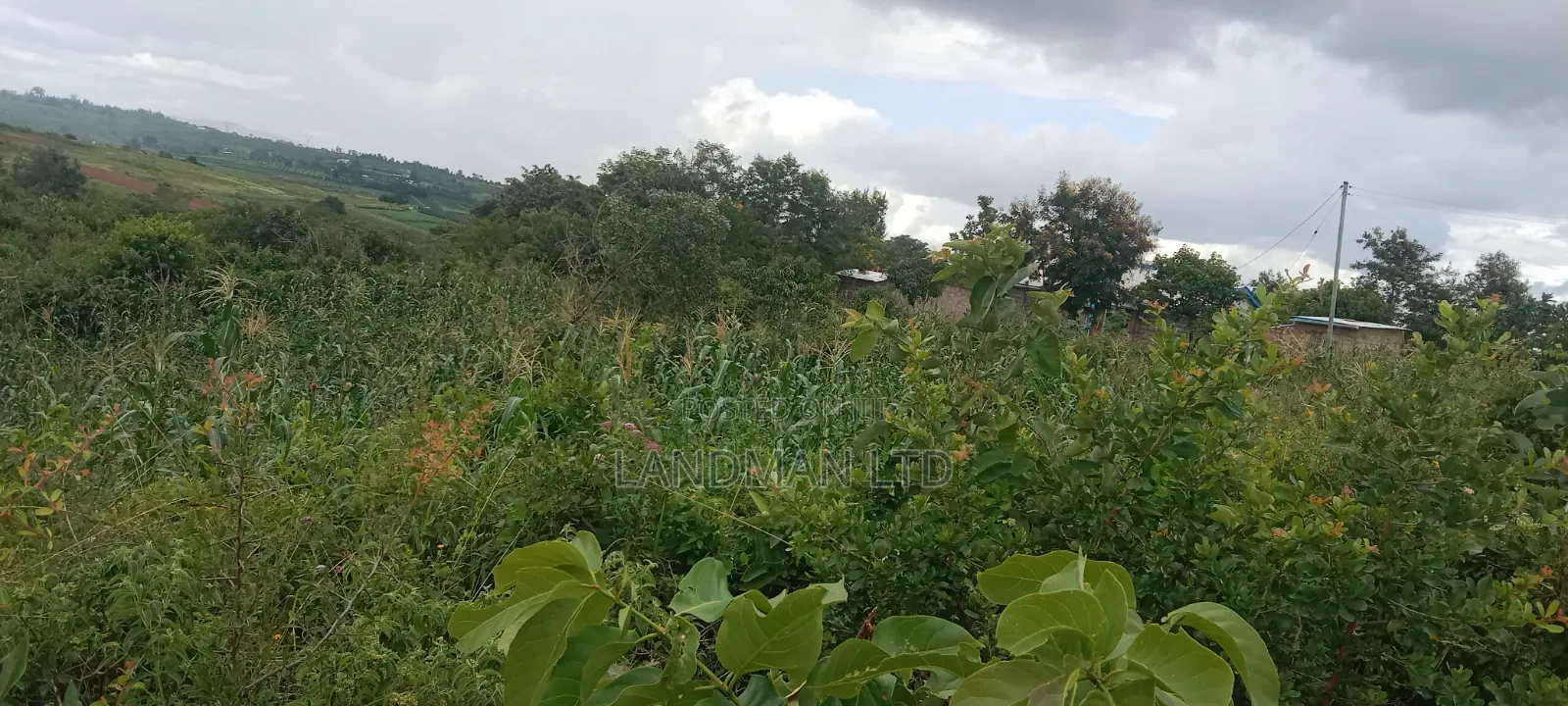 Thika Ngoliba 1 Prime Acre in Ngoliba