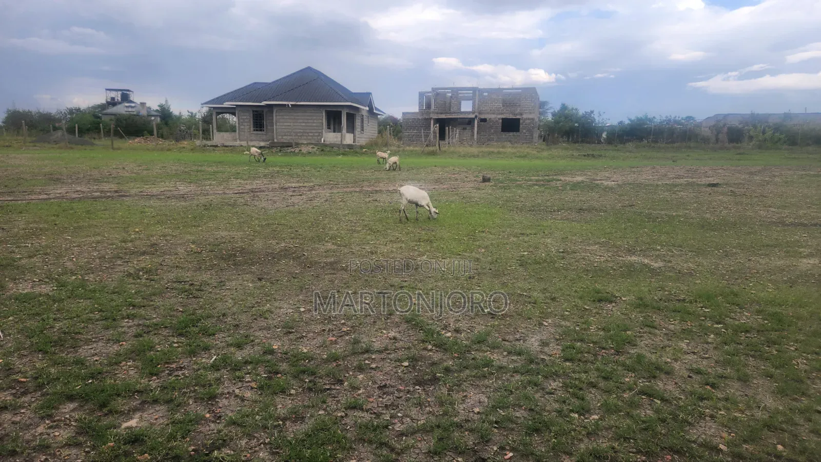Thika Muthaiga Affodable Plots in Makongeni / Thika