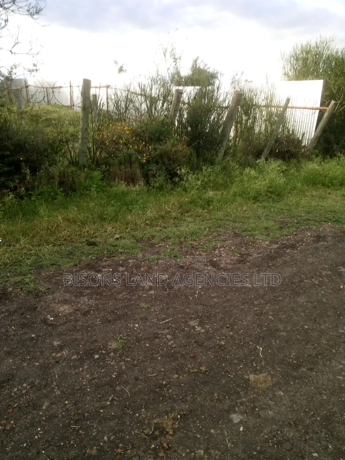 Available 3 Acre Land for Sale in Kajiado County at Ngatatek in Bisil