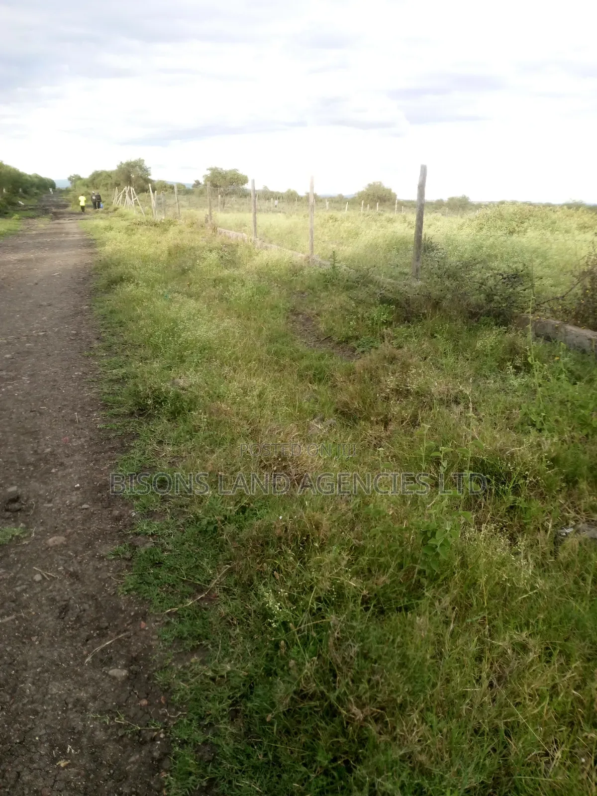 Available 3 Acre Land for Sale in Kajiado County at Ngatatek in Bisil
