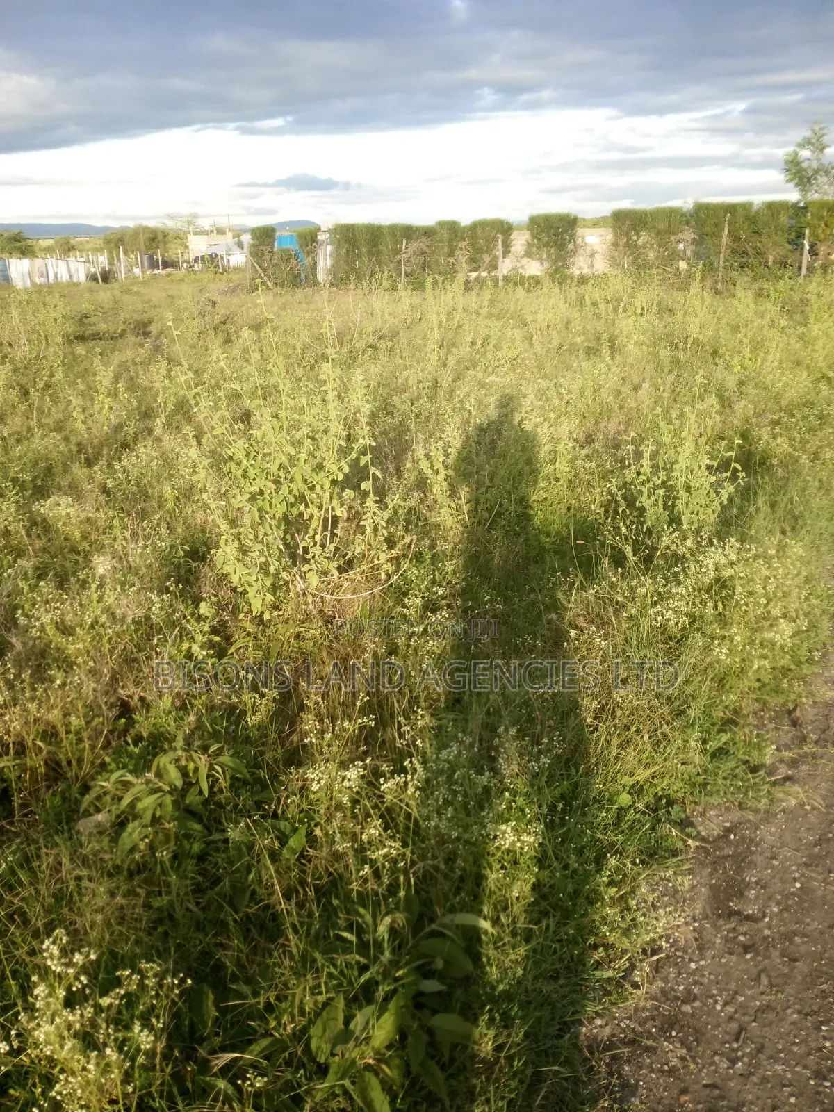 Available 3 Acre Land for Sale in Kajiado County at Ngatatek in Bisil