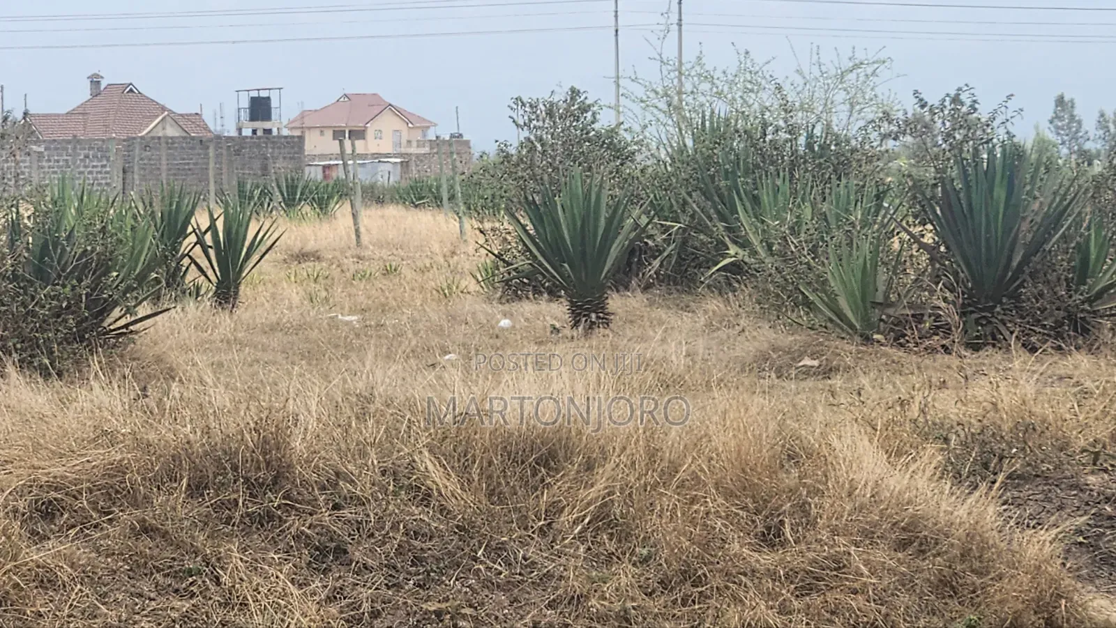 Residential Plots 50by100 Juja in Kenyatta Road / Theta 