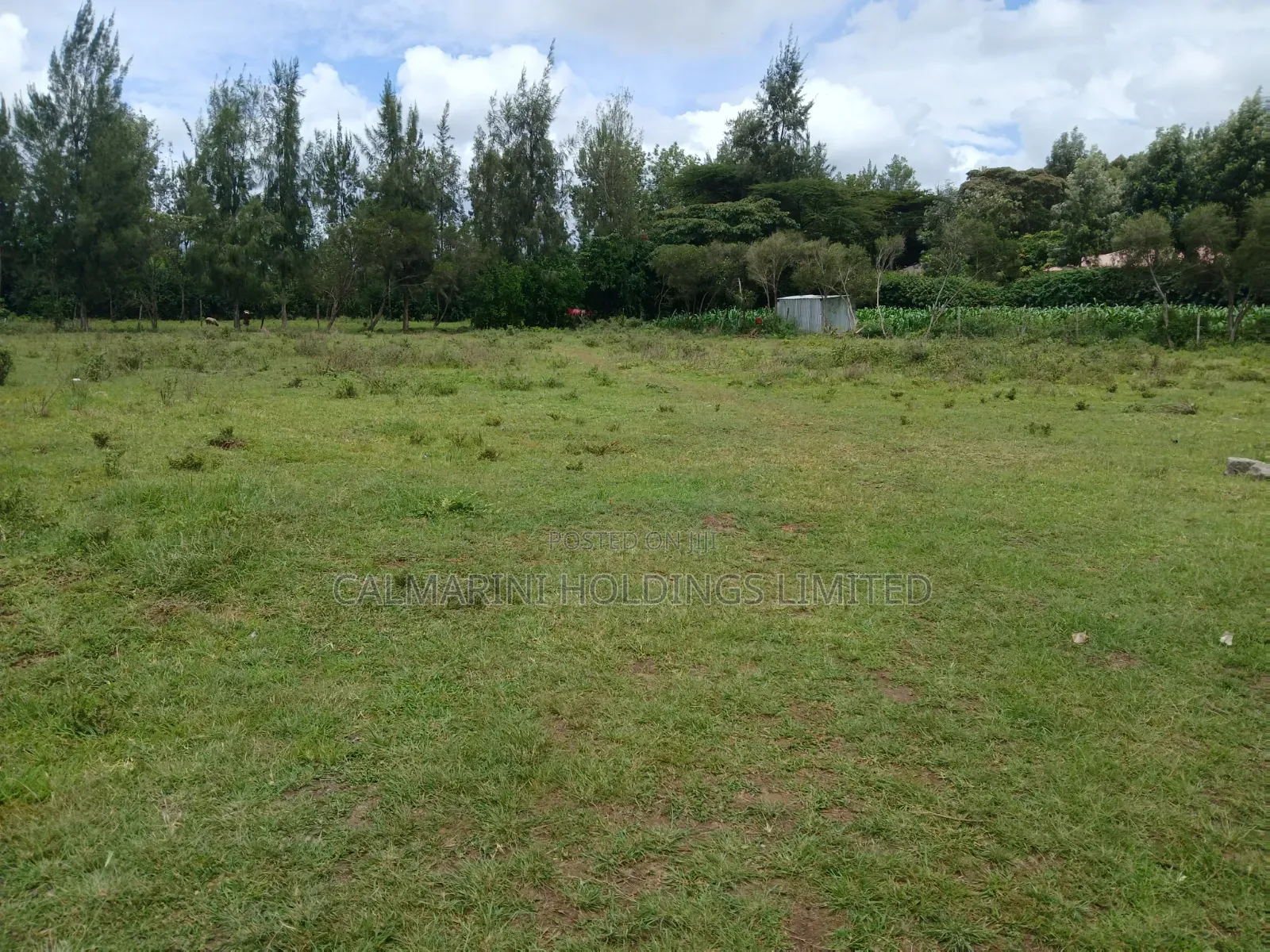Distress Sale! 100 by 100 Prime Plot in Oloolua, Ngong in Oluulua