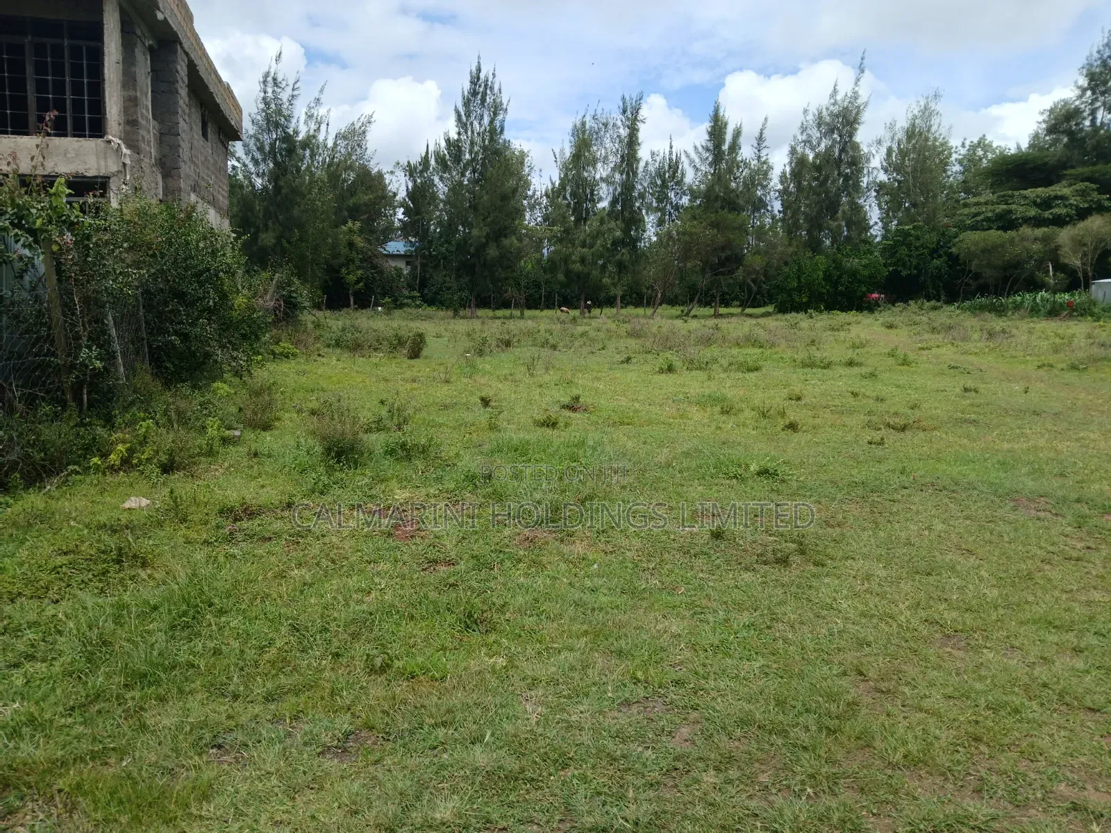 Distress Sale! 100 by 100 Prime Plot in Oloolua, Ngong in Oluulua