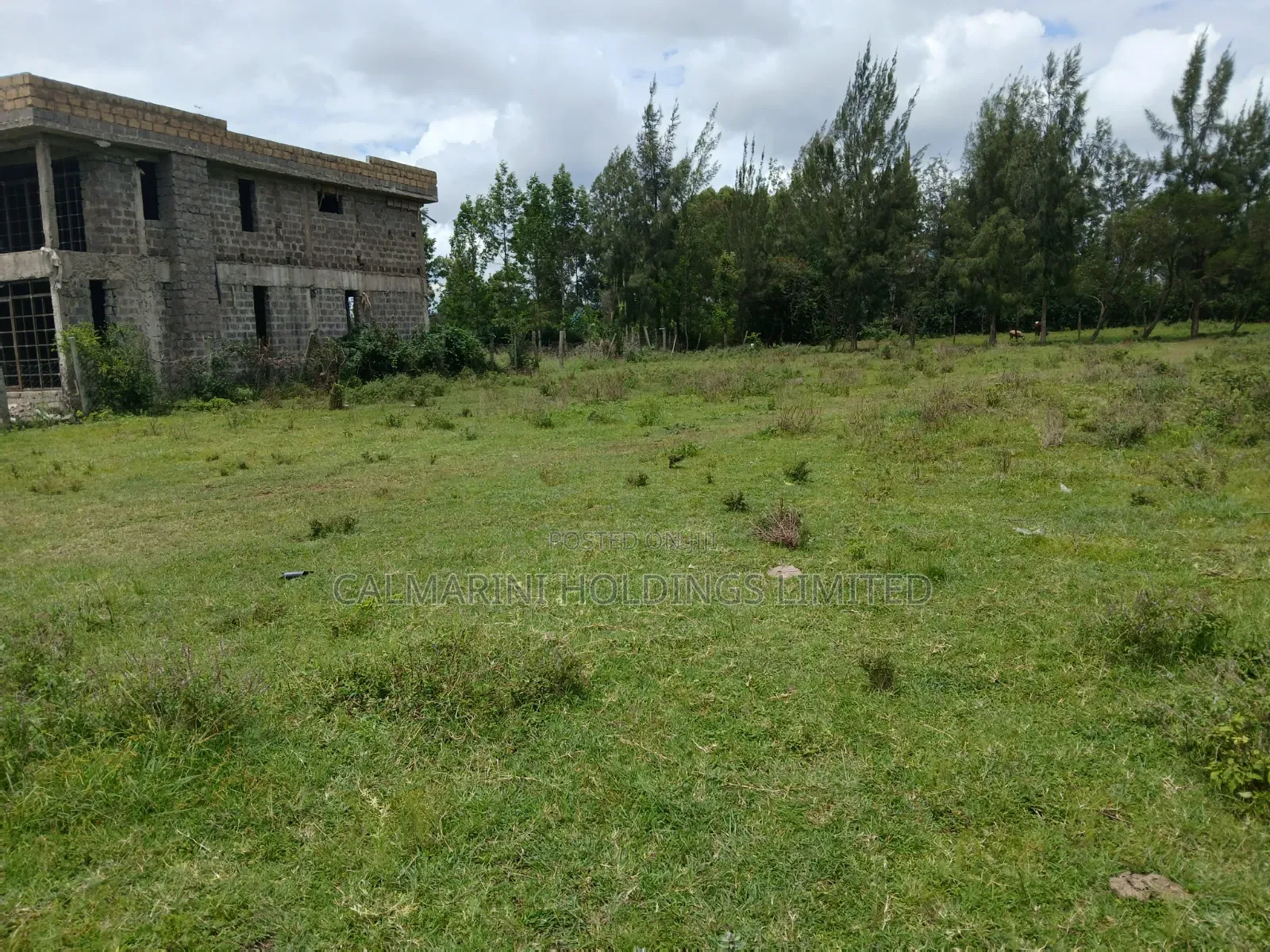 Distress Sale! 100 by 100 Prime Plot in Oloolua, Ngong in Oluulua