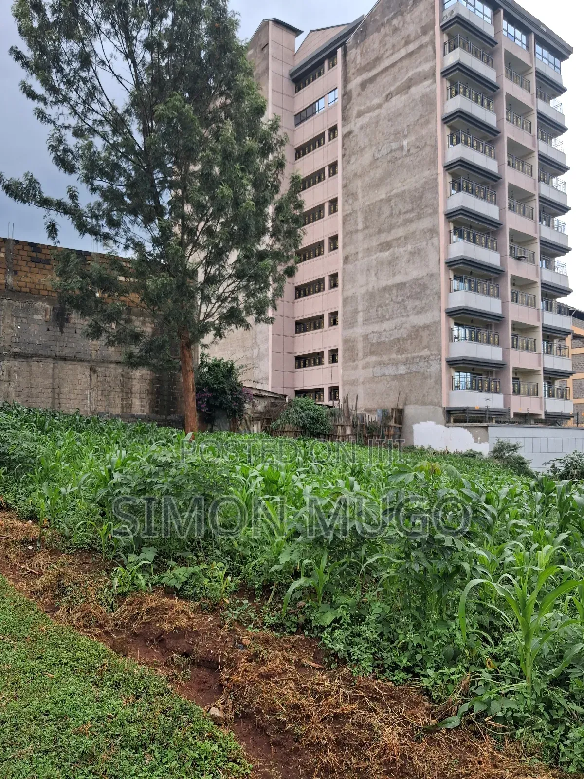 Ruaka Commercial Centre Near Decimal Hotel Prime 100x100 on 2nd Row in Ruaka