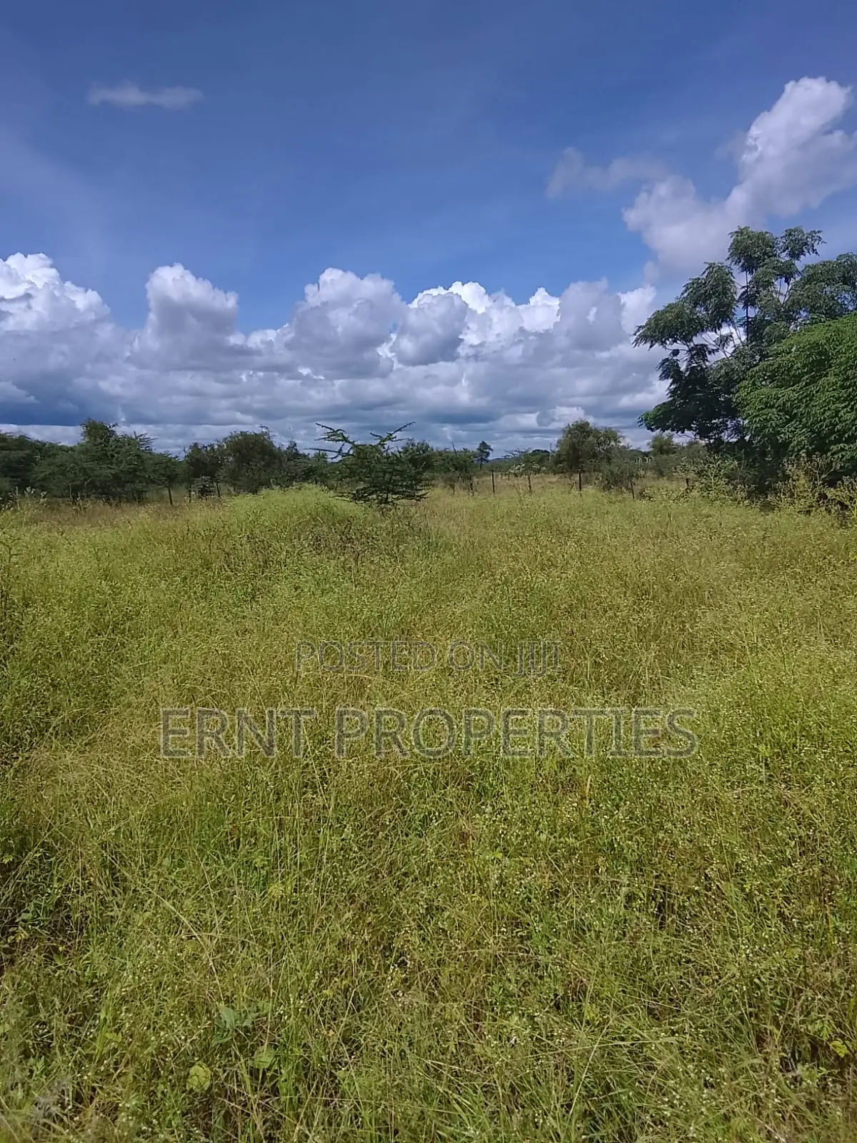 5.25 Acres for Sale in Maili Tisa. Quiet Living at KSH Per Acre in Kajiado CBD