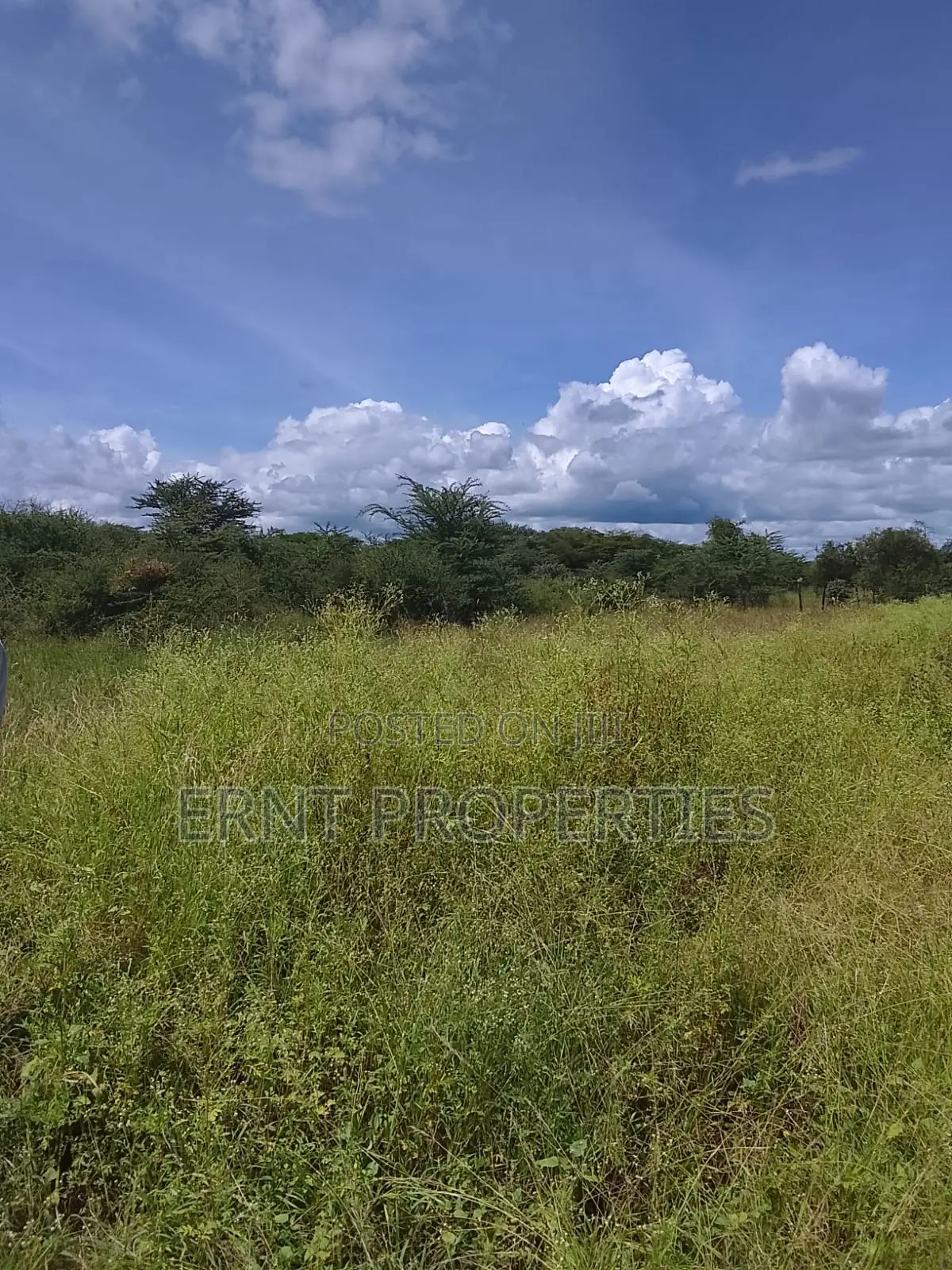 5.25 Acres for Sale in Maili Tisa. Quiet Living at KSH Per Acre in Kajiado CBD