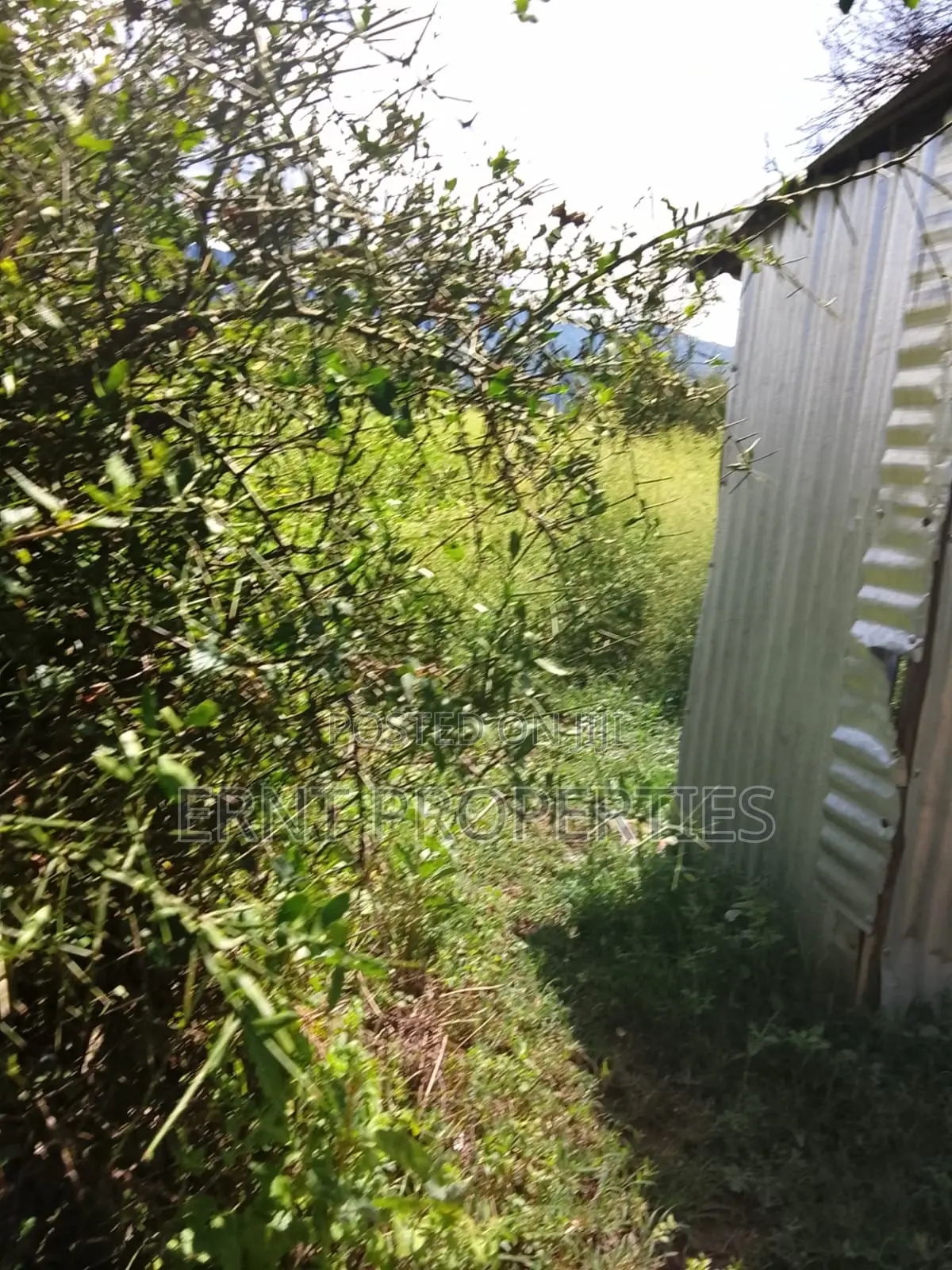 5.25 Acres for Sale in Maili Tisa. Quiet Living at KSH Per Acre in Kajiado CBD
