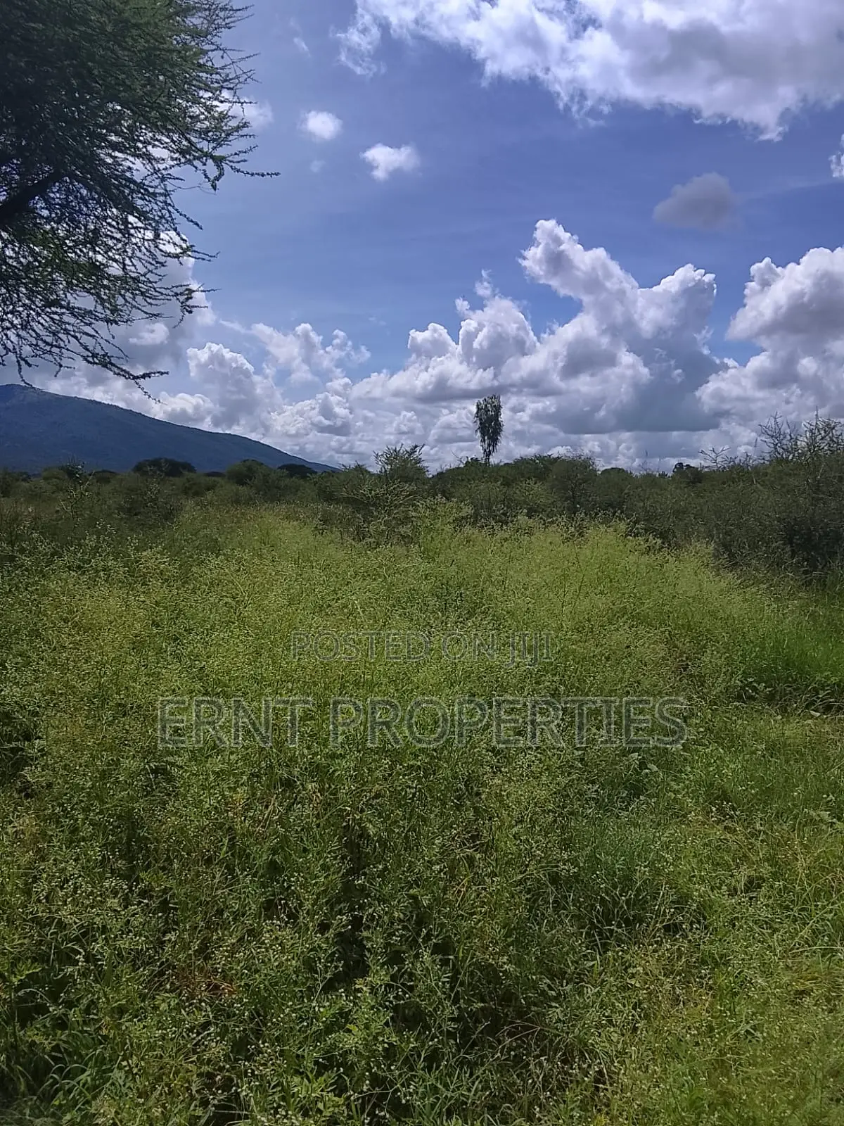 5.25 Acres for Sale in Maili Tisa. Quiet Living at KSH Per Acre in Kajiado CBD