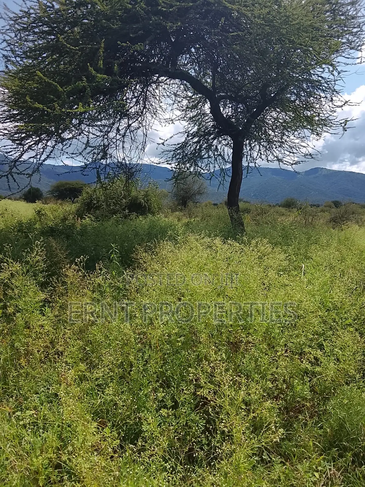 5.25 Acres for Sale in Maili Tisa. Quiet Living at KSH Per Acre in Kajiado CBD