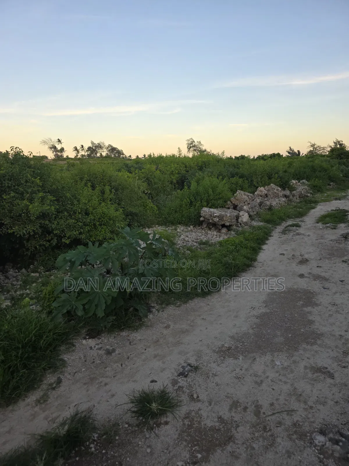 4 Acres Beach Front Watamu Paparemo for Sale as a Block in Watamu