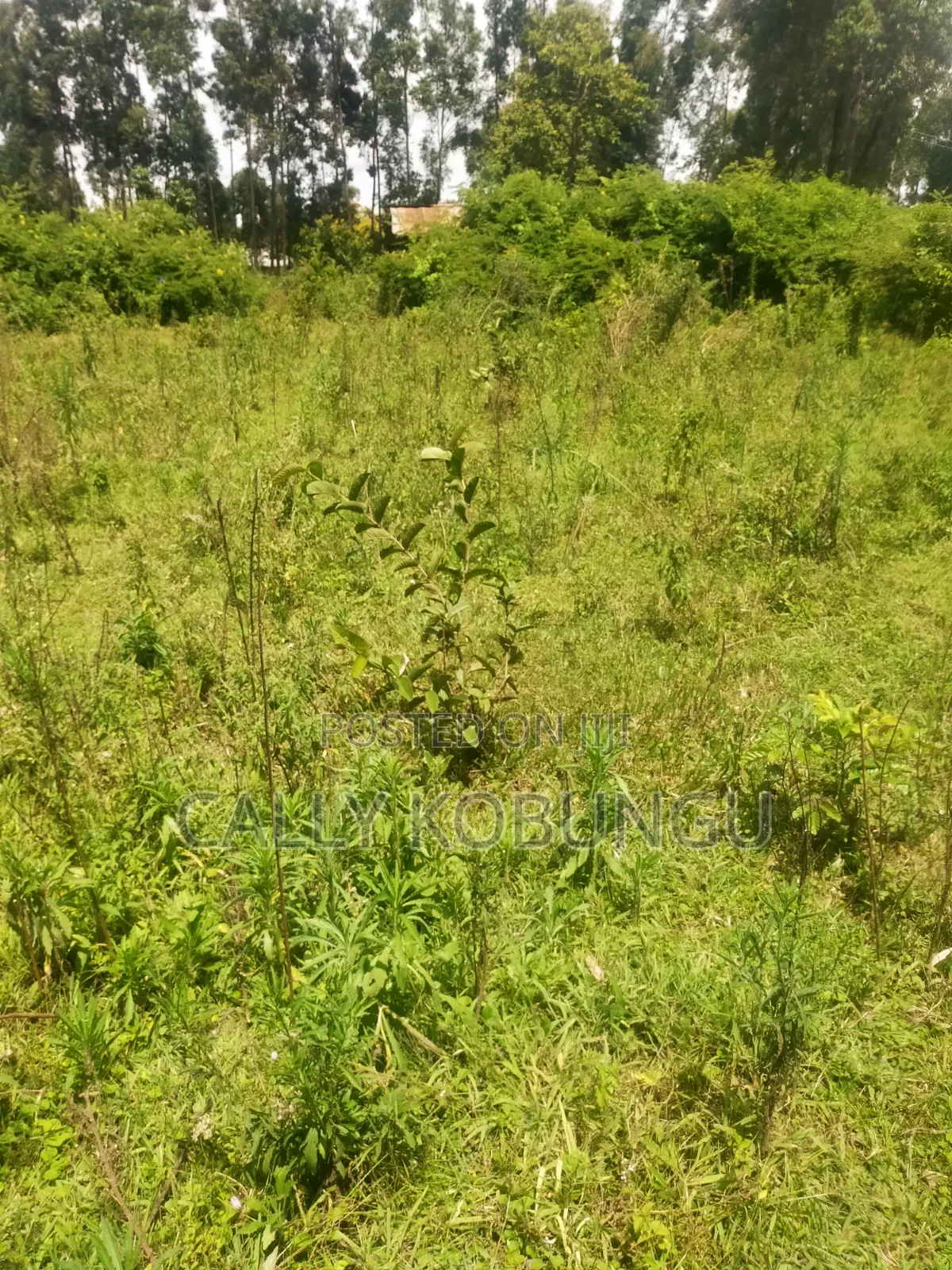 0.3ha Near Maseno Bible School in Maseno