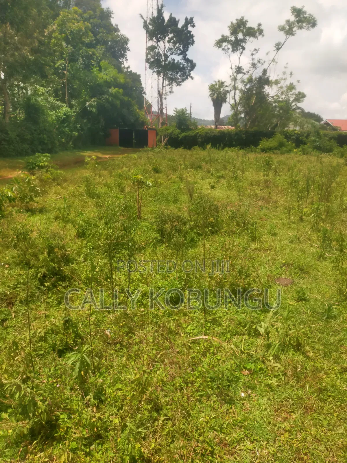 0.3ha Near Maseno Bible School in Maseno