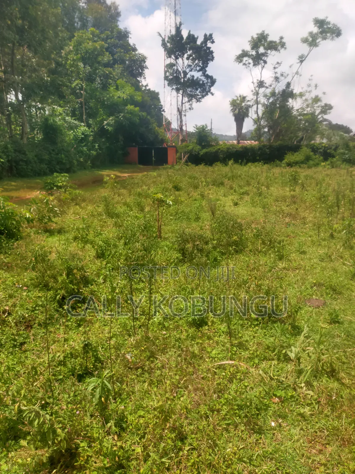 0.3ha Near Maseno Bible School in Maseno