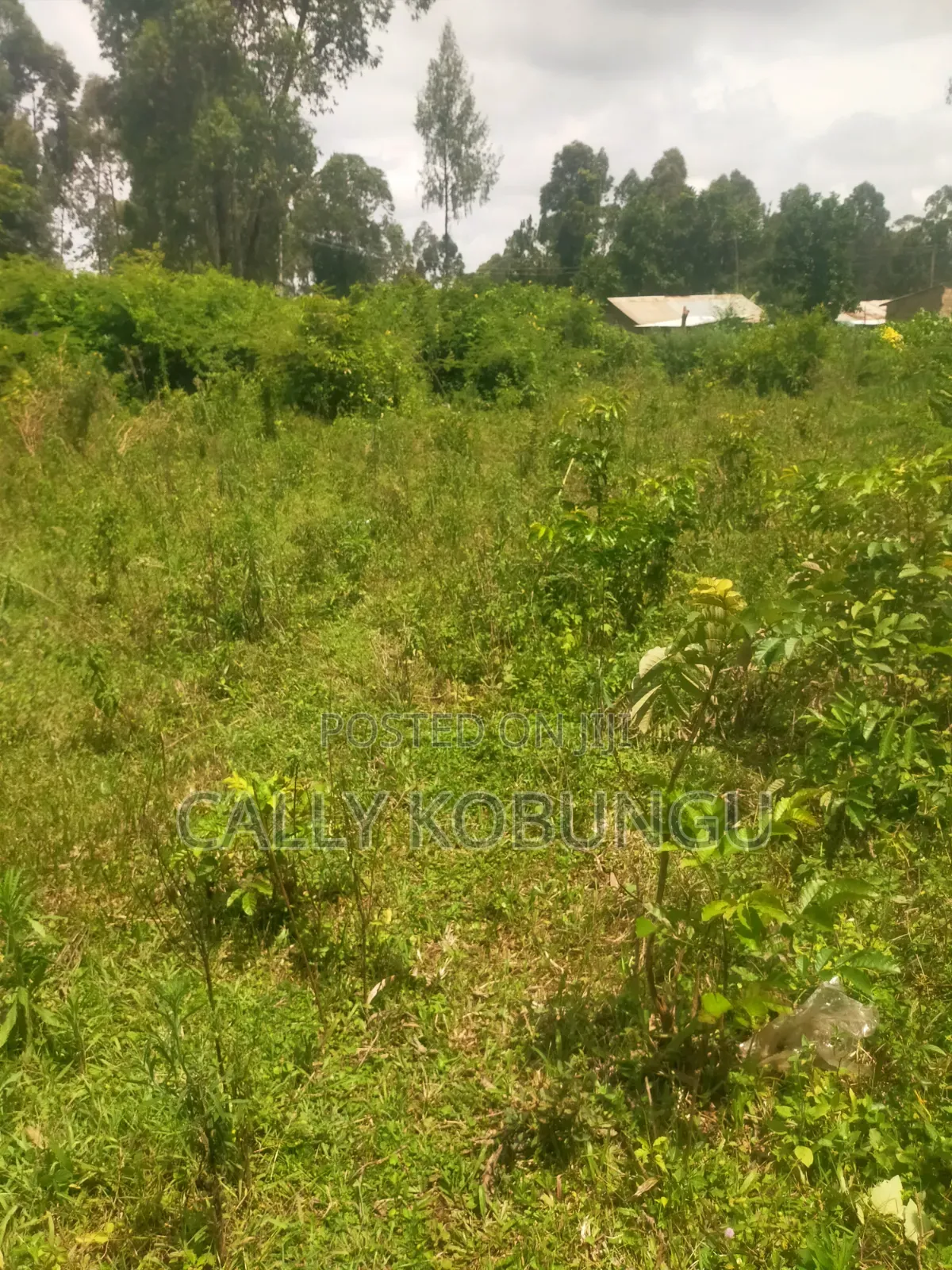 0.3ha Near Maseno Bible School in Maseno