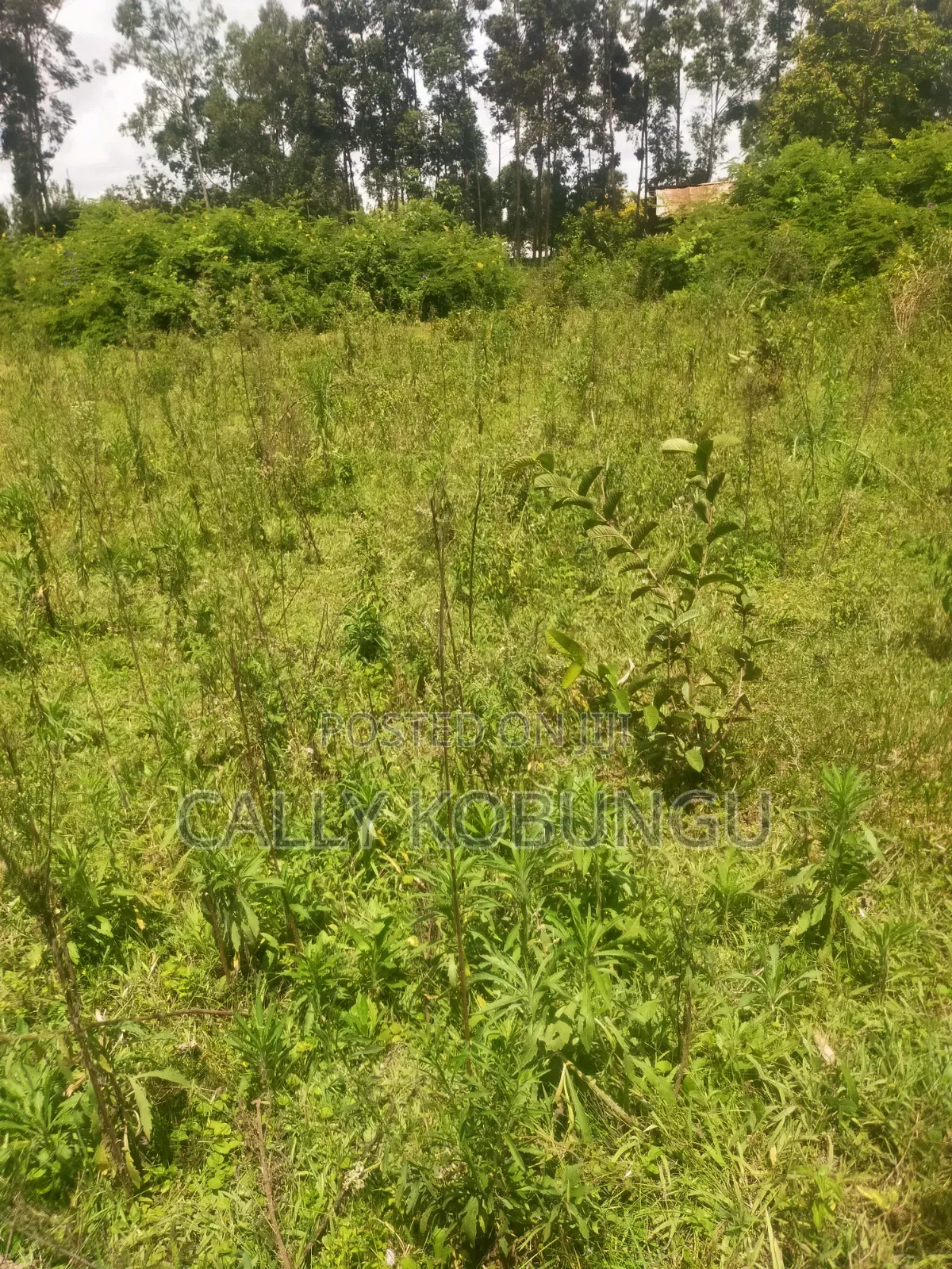 0.3ha Near Maseno Bible School in Maseno