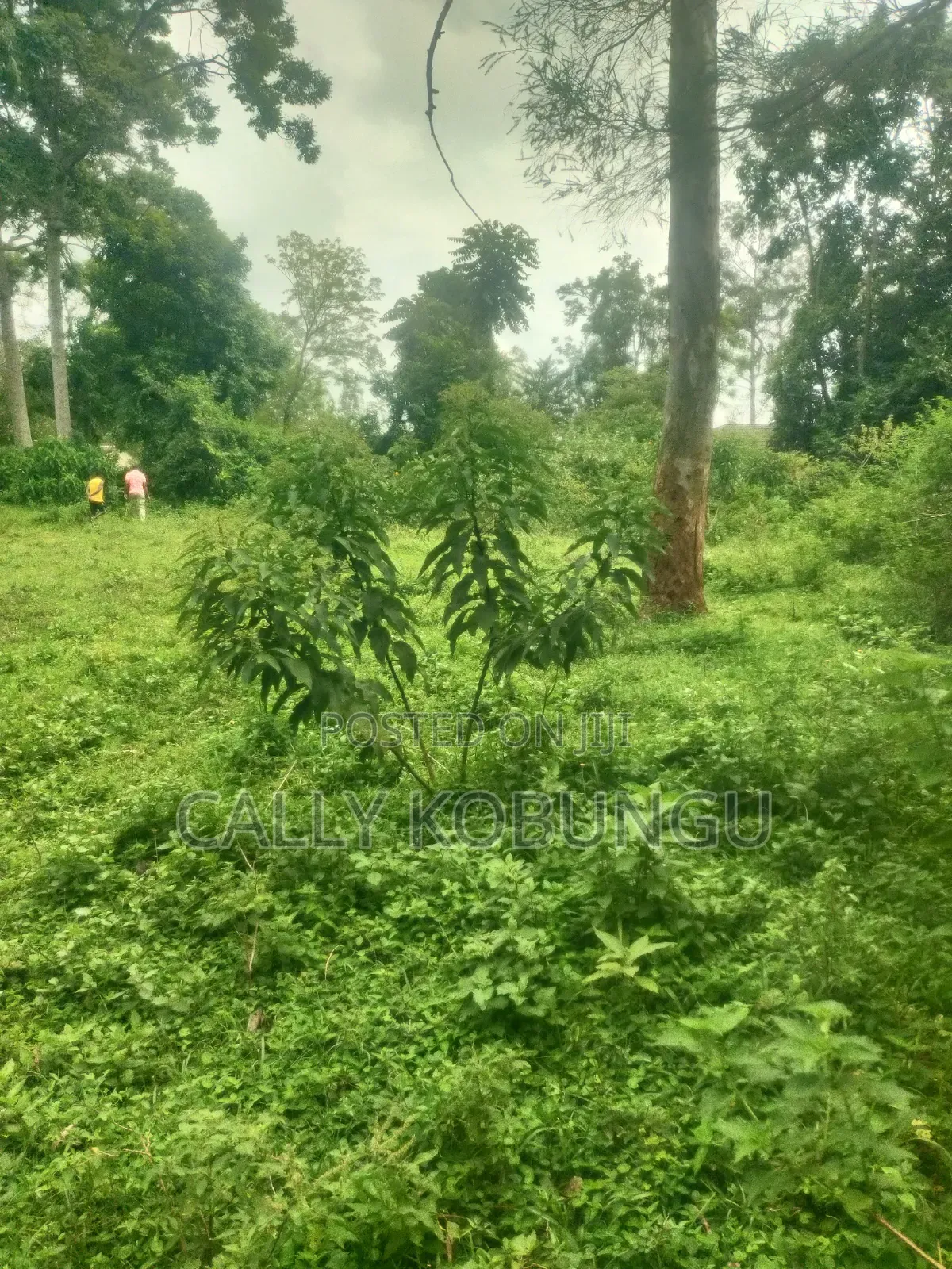 0.04 Ha in Ogango Near Star Hospital in Manyatta A