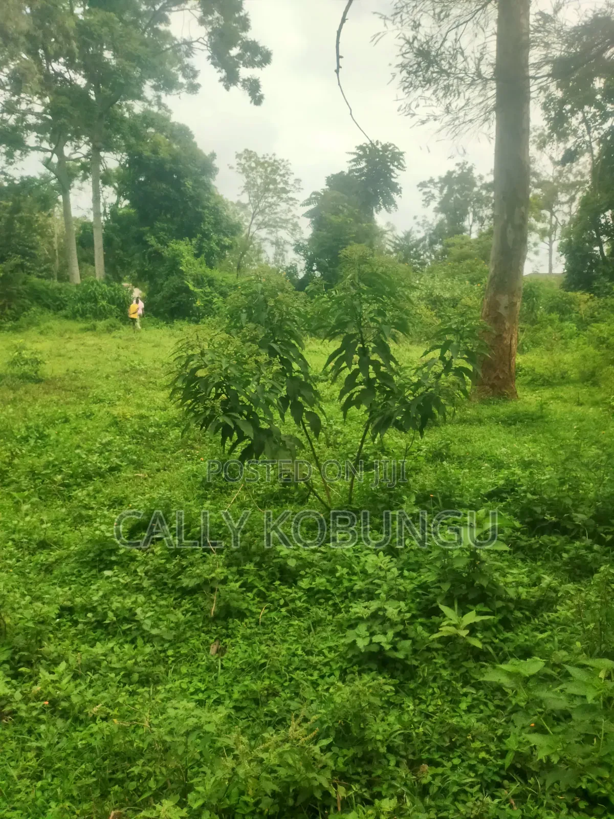 0.04 Ha in Ogango Near Star Hospital in Manyatta A
