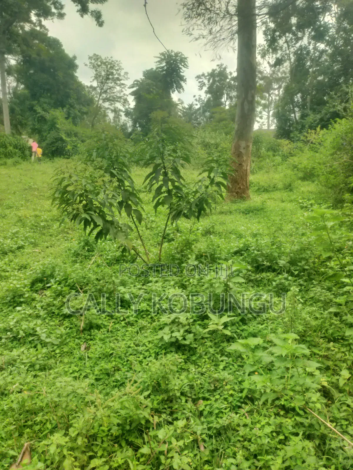 0.04 Ha in Ogango Near Star Hospital in Manyatta A