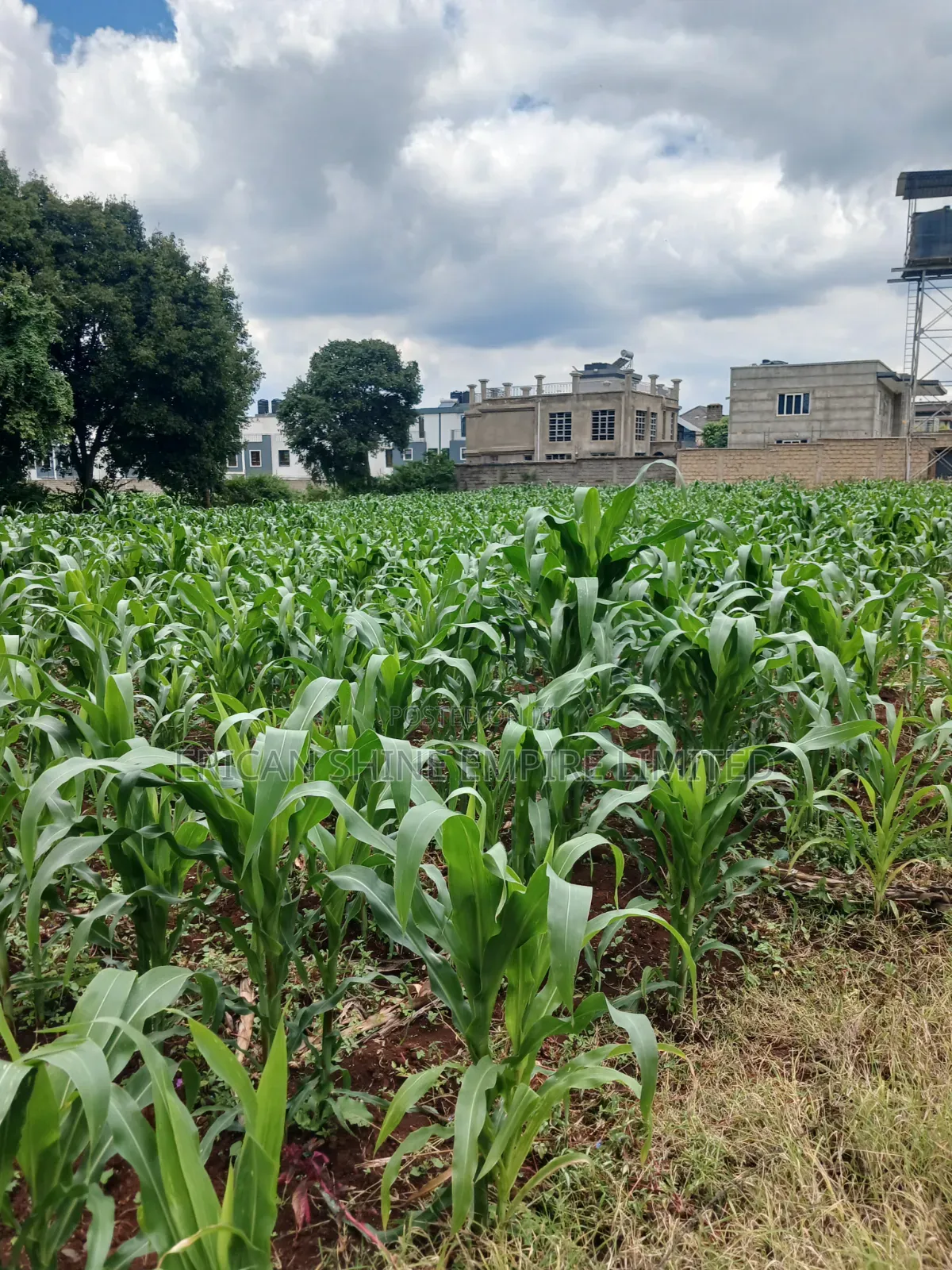 Prime 1 Acre Land for Sale in Gikambura in Thogoto