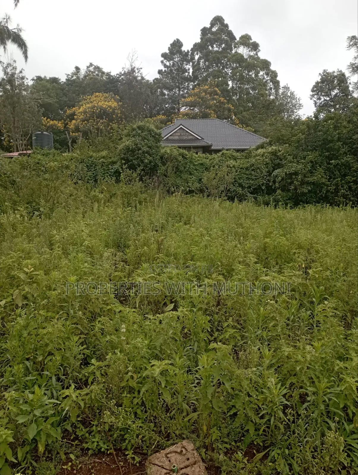 1 Acre Land for Sale in Matasia, Ngong. in Matasia