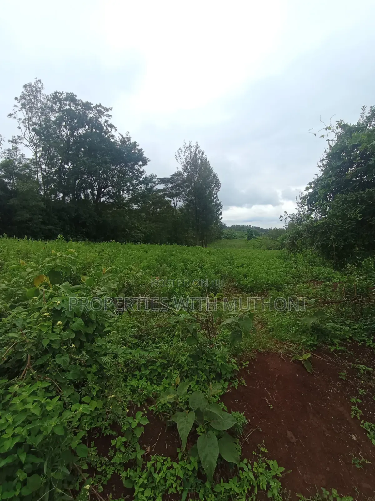 1 Acre Land for Sale in Matasia, Ngong. in Matasia