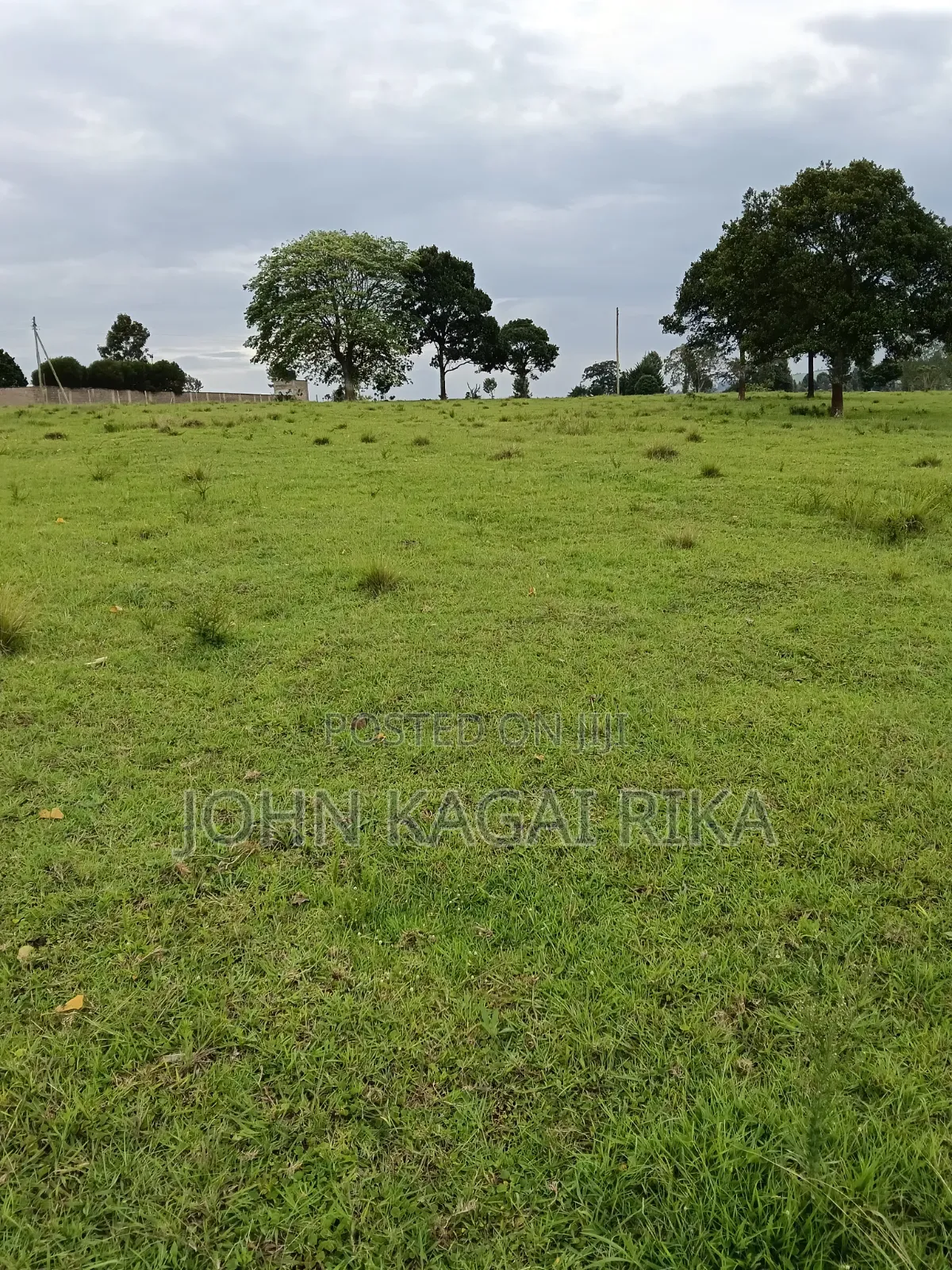 Land for Sale in Cianda