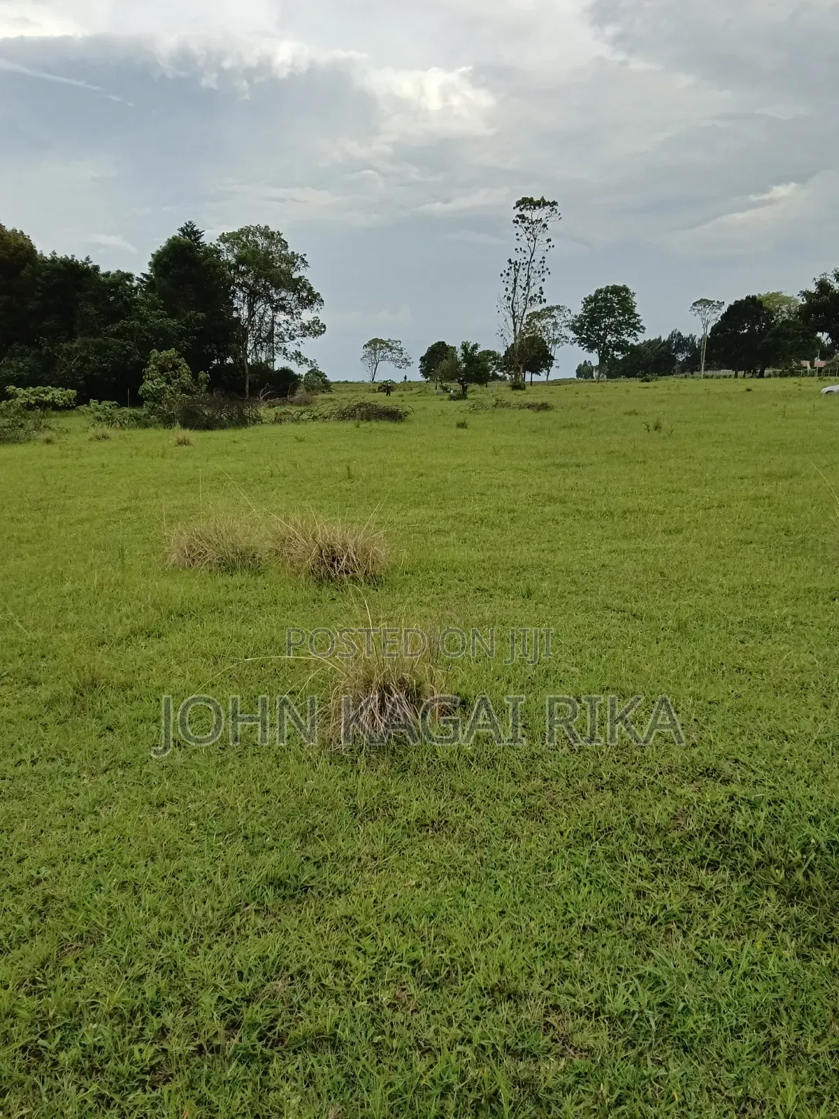 Land for Sale in Cianda