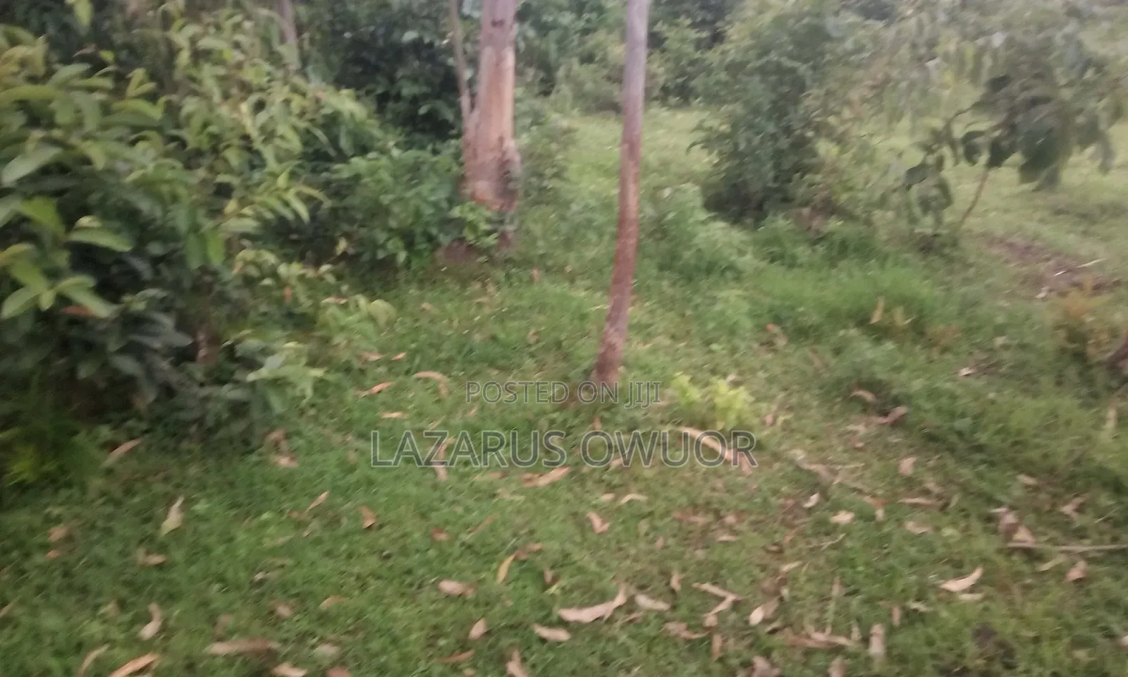 Land for Sale in Homa Bay West